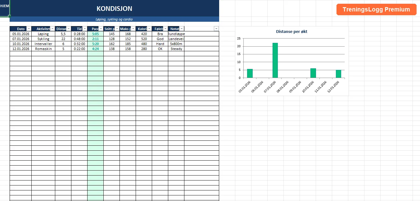 Treningssonefordeling 5 soner Excel