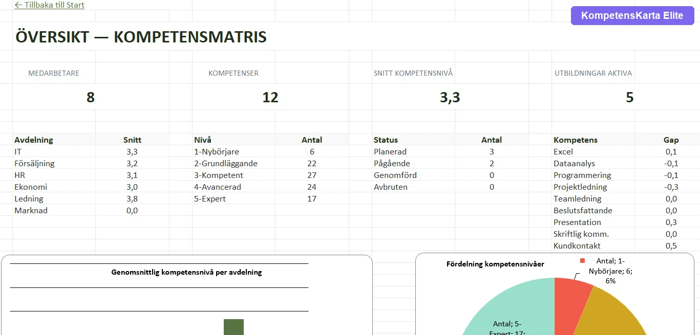 Teamöversikt med kompetenser per kategori