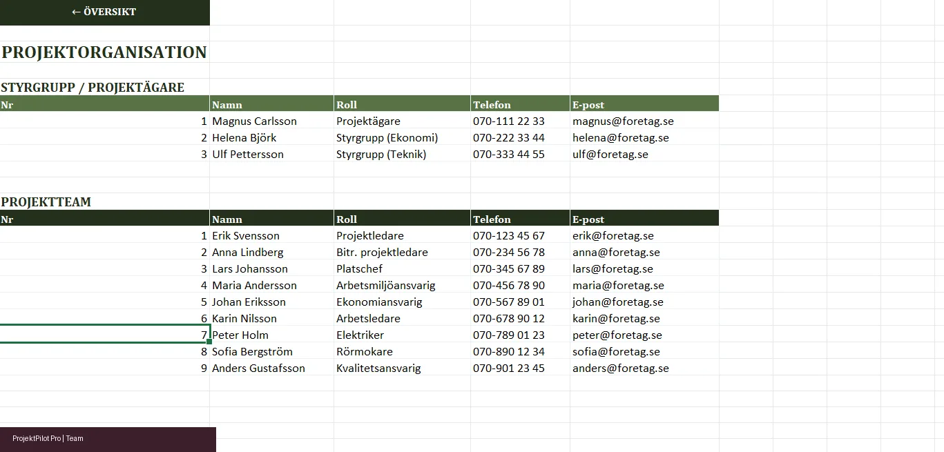 Teamvy med projektmedlemmar